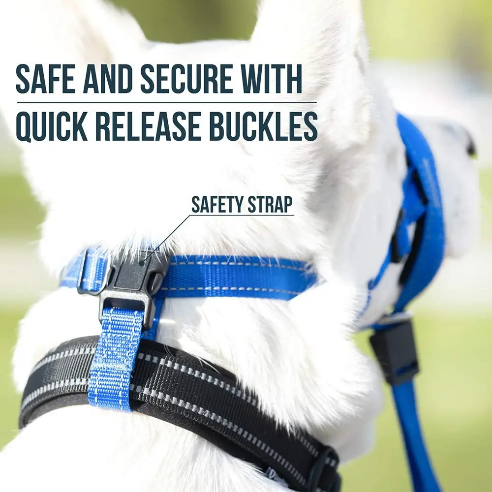 Adjustable Dog Muzzle for All Sizes Reflective Breathable Anti-Bite Training Tool with Secure Strap for Small Medium Large Dog