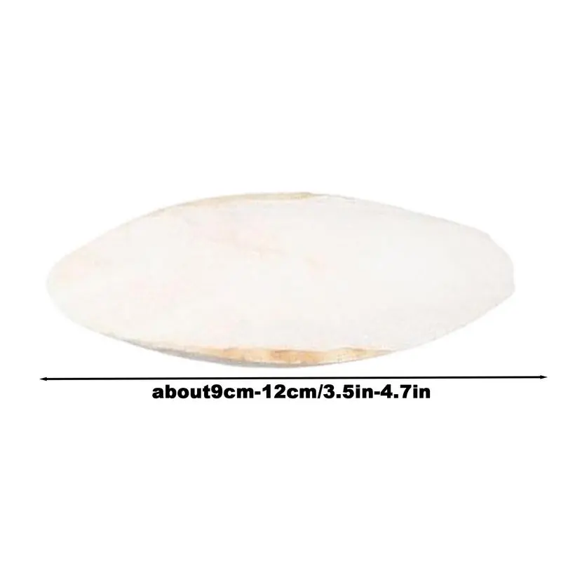 10 piece set of natural squid bones, long tailed parrots, turtles, snails, chew toys, nutritional supplements