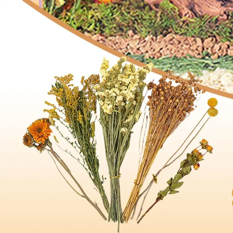 Flower and plant hamster bedding, hamster deodorizing bedding, natural air-dried flowers and plants, hamster cage decoration