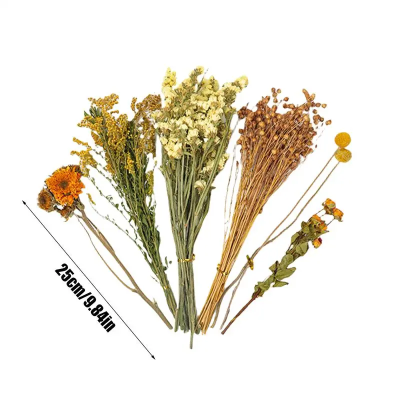 Flower and plant hamster bedding, hamster deodorizing bedding, natural air-dried flowers and plants, hamster cage decoration
