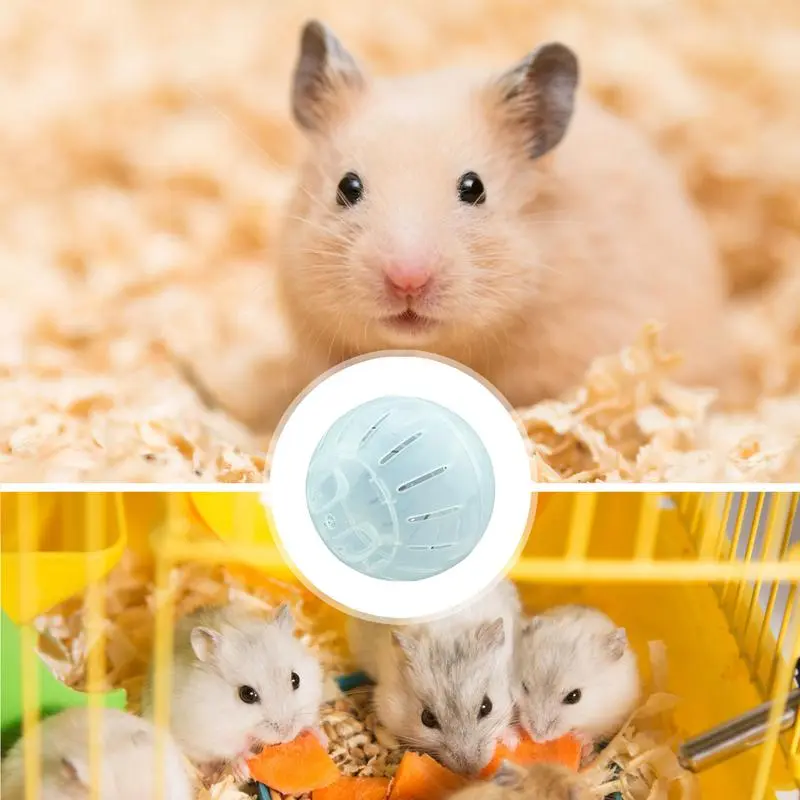 Hamster exercise wheel small animal jogging ball hamster fitness ball suitable for hamsters, gerbils small pet supplies
