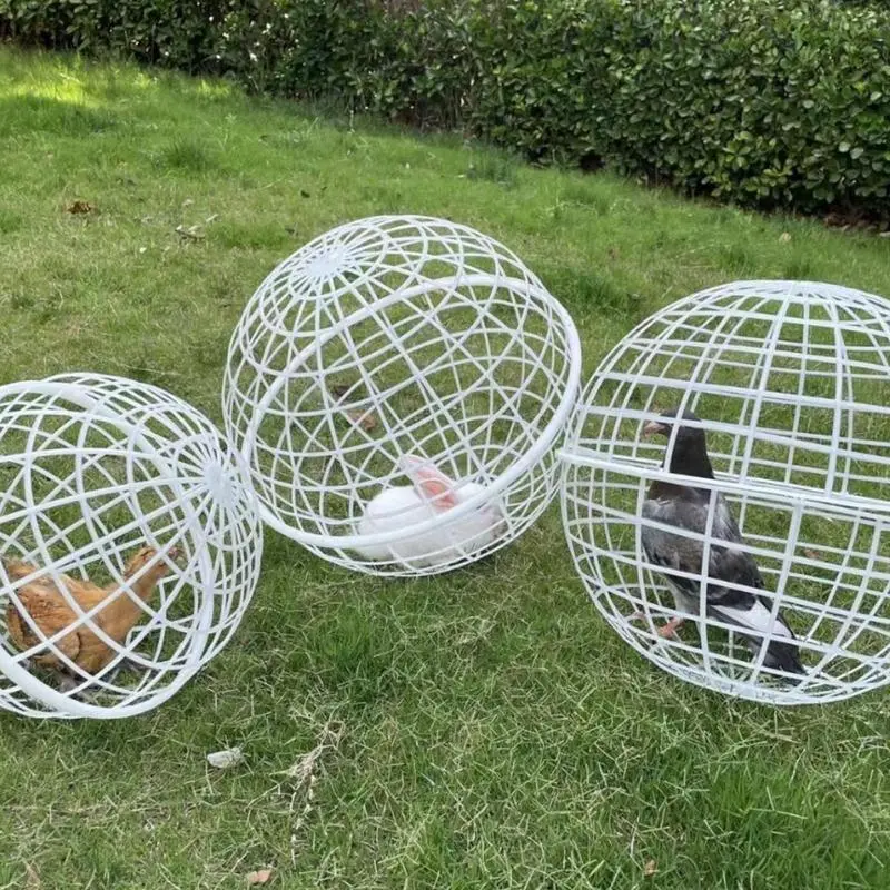 3 Pack Outdoor Movable Chicken Ball Cage Pet Safety Cage Ball Shaped Rollable Chicken Hamster Pet Cage