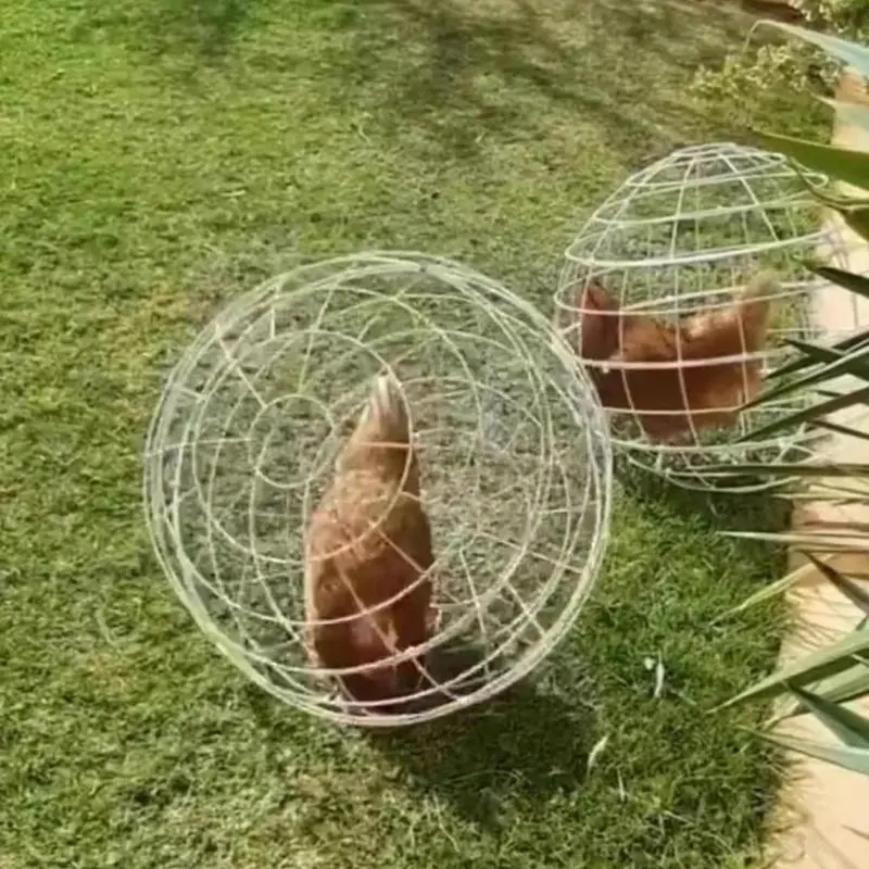 3 Pack Outdoor Movable Chicken Ball Cage Pet Safety Cage Ball Shaped Rollable Chicken Hamster Pet Cage