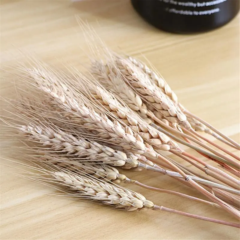 100 Pieces Natural Dried Wheat Ear Flowers Bohemian Home Decor Office Desktop Decoration Party Holiday Wedding Decoration