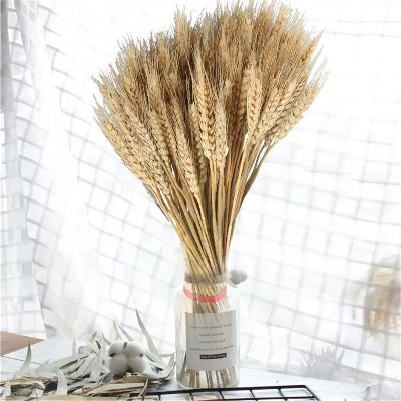 100 Pieces Natural Dried Wheat Ear Flowers Bohemian Home Decor Office Desktop Decoration Party Holiday Wedding Decoration