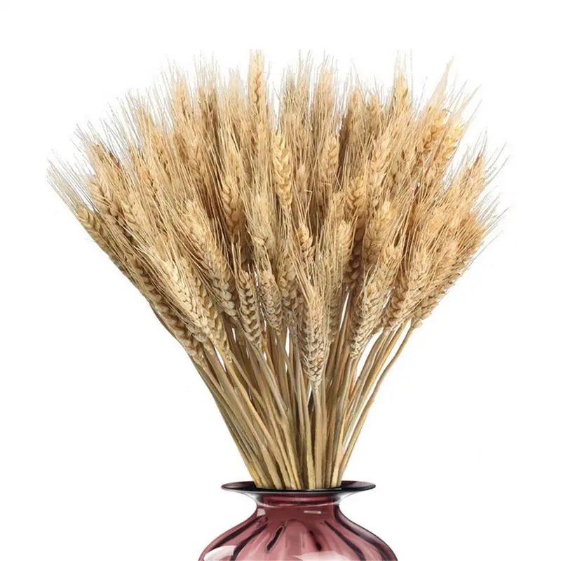 100 Pieces Natural Dried Wheat Ear Flowers Bohemian Home Decor Office Desktop Decoration Party Holiday Wedding Decoration