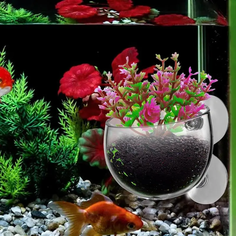 Fish Tank Plant Holder Suction Cup Plant Holder Transparent Removable Fish Tank Landscaping Easy Grow For Vibrant Live