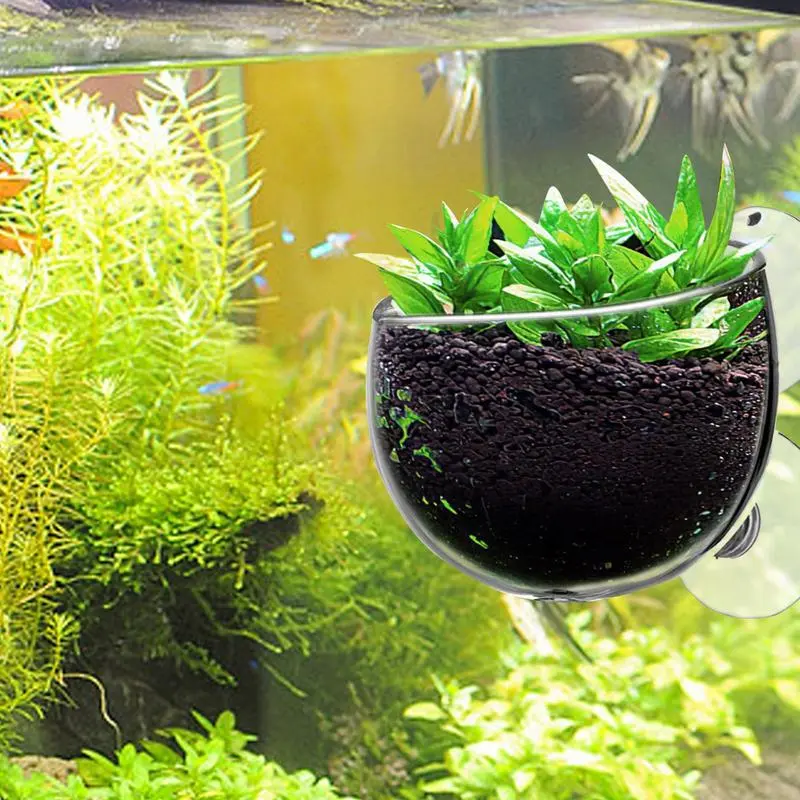 Fish Tank Plant Holder Suction Cup Plant Holder Transparent Removable Fish Tank Landscaping Easy Grow For Vibrant Live