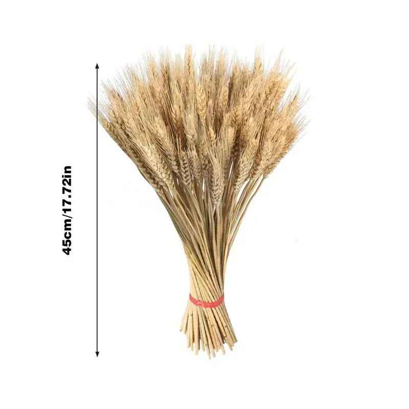 100 Pieces Natural Dried Wheat Ear Flowers Bohemian Home Decor Office Desktop Decoration Party Holiday Wedding Decoration