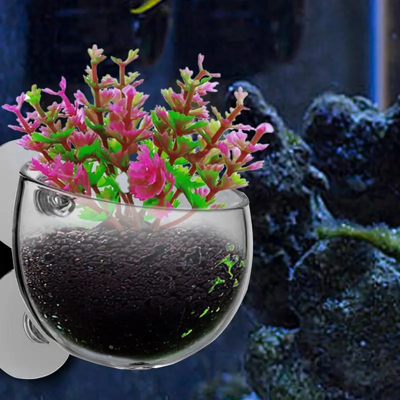 Fish Tank Plant Holder Suction Cup Plant Holder Transparent Removable Fish Tank Landscaping Easy Grow For Vibrant Live