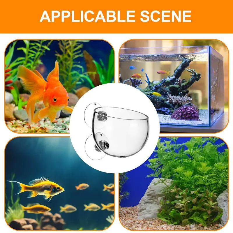 Fish Tank Plant Holder Suction Cup Plant Holder Transparent Removable Fish Tank Landscaping Easy Grow For Vibrant Live