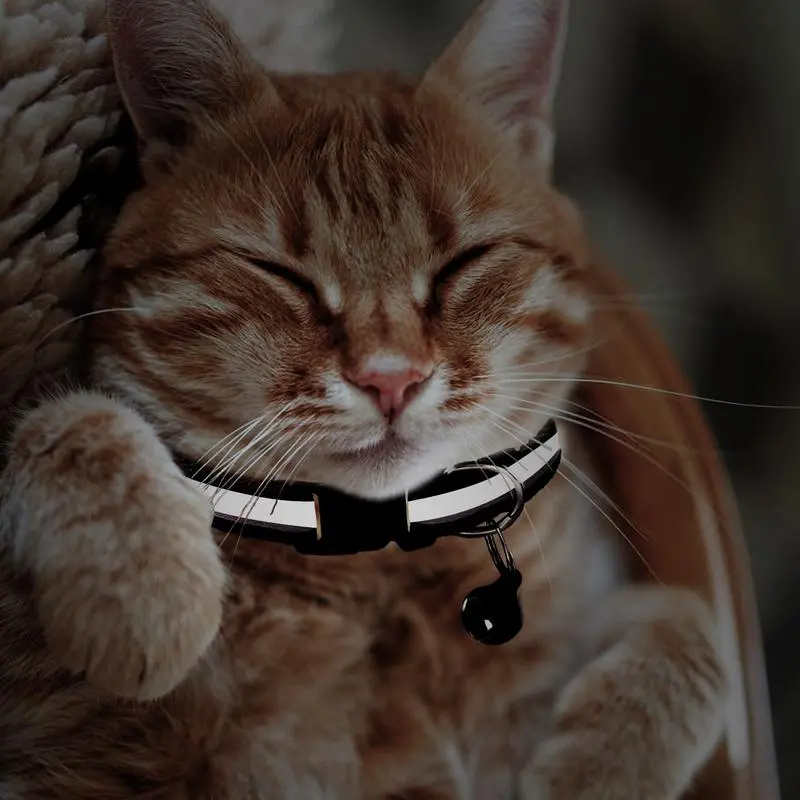 Dog Collar Adjustable Safe Collars For Cats Soft Lightweight Nylon Breakaway Reflective Necklace Accessories For Kitten Puppy