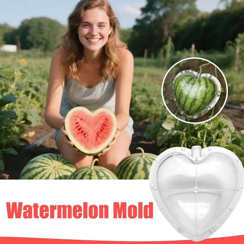 Vegetable Growing Mould Heart Shaped Watermelon Shaping Mould With Breathable Hole Reusable Shaping Tool For Fun Cultivation