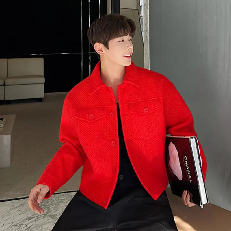 IEFB Korean Style Men's Wear Turn-down Collar Jacket Thickened Solid Color Male Jackets Autumn New Fashion Tide 2025 9A6819