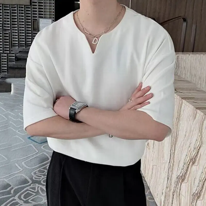 IEFB Simple Men's T-shirts V-neck Casual Solid Color Short Sleeved New Summer Tops Loose Pullover Male Tees Korean Style 9W2838