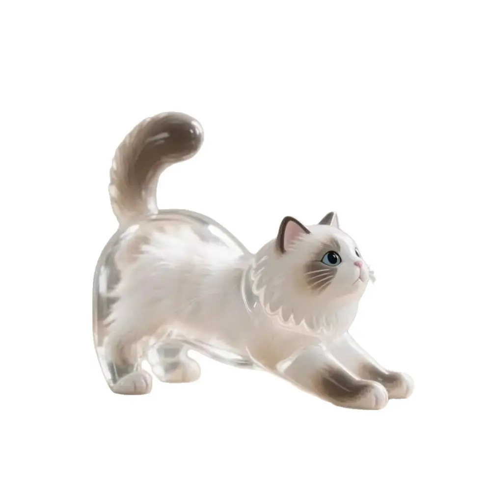 New Transparent Cat Hair Storage Box Siamese Cat Plush Toy Cat Hair Storage Souvenir Keychain Decorative Pendant