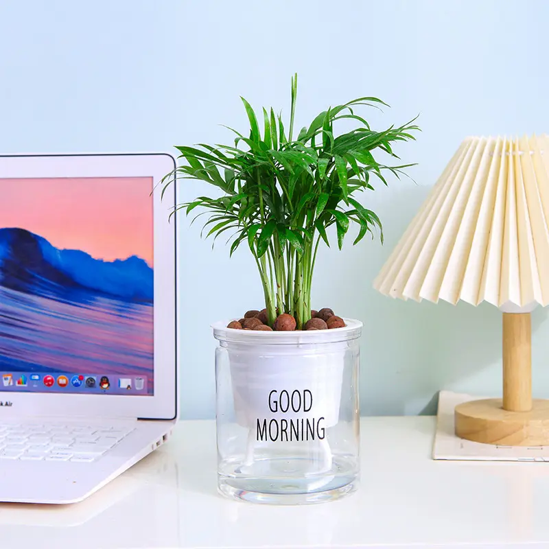 Lazy Hydroponic Flower Pot Automatic Water-Absorbing Flowerpot Transparent Double Layer Plastic Self Watering Planter Office