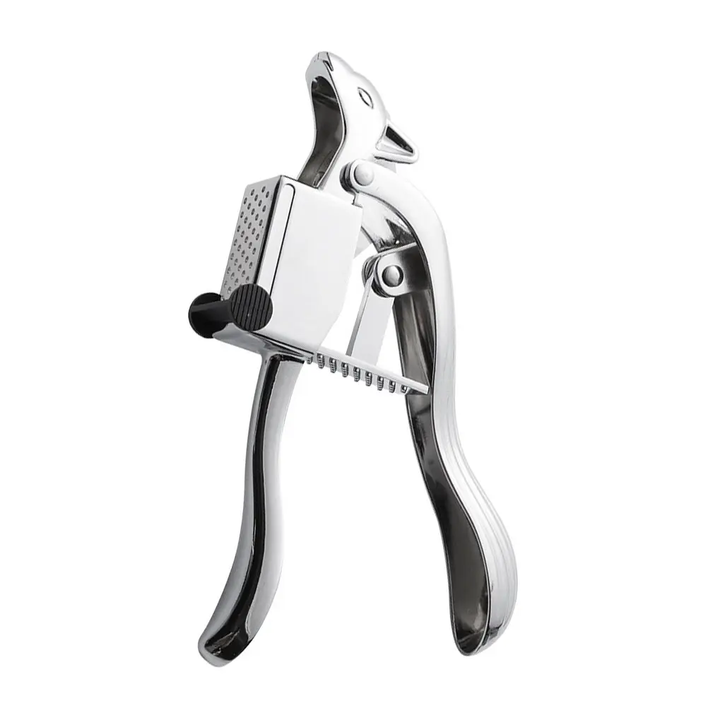 Squirrel Garlic Press Kitchen Tool Stainless Steel Zinc Alloy Safe Easy Clean Manual Ginger Crusher Veggie Gadget Gift