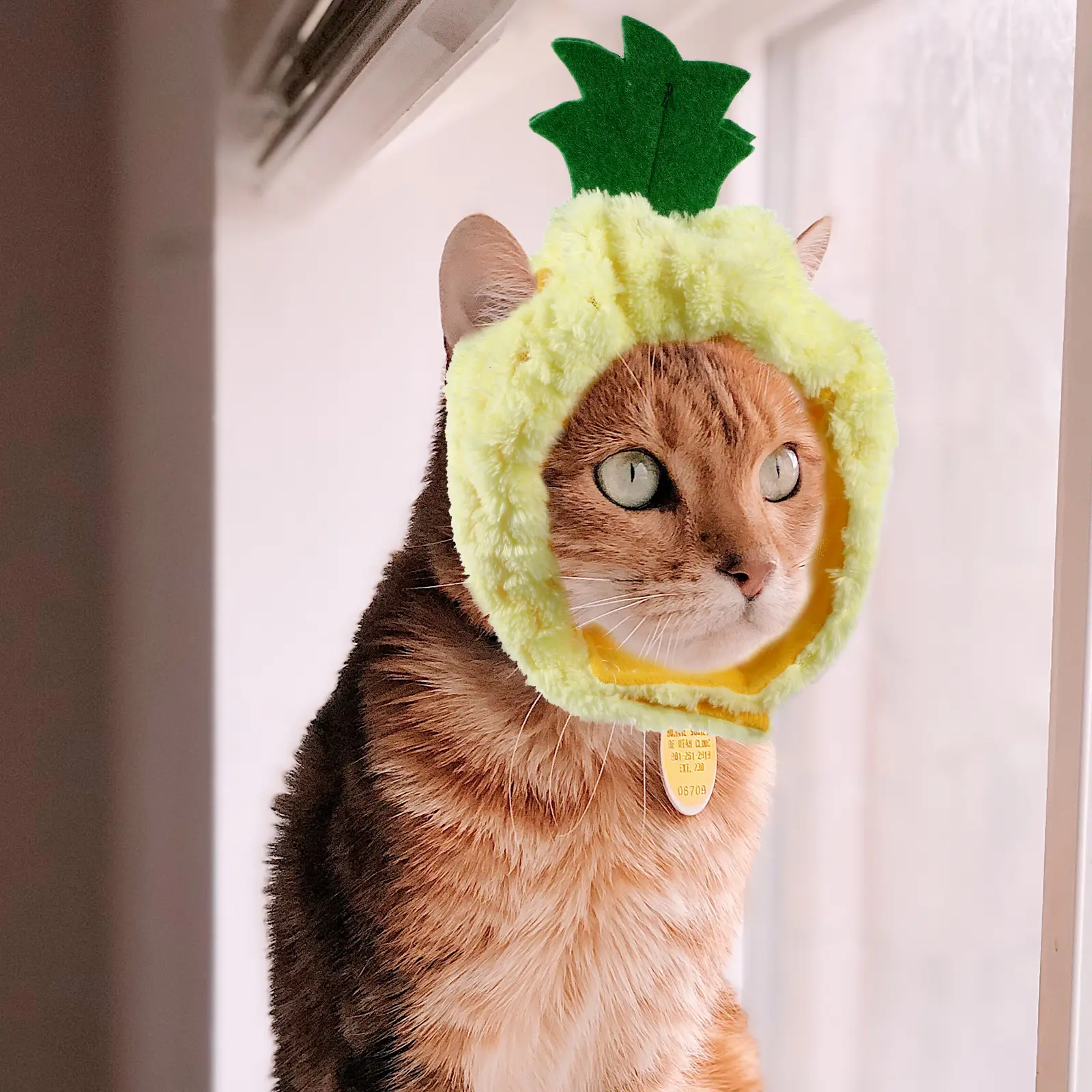 4 Pcs Pet Hood Headwear Sweet Dog Cat Hat Decorative Fruit Costume Party Cosplay Comfortable Bright Colors Lovely Stylish Pet