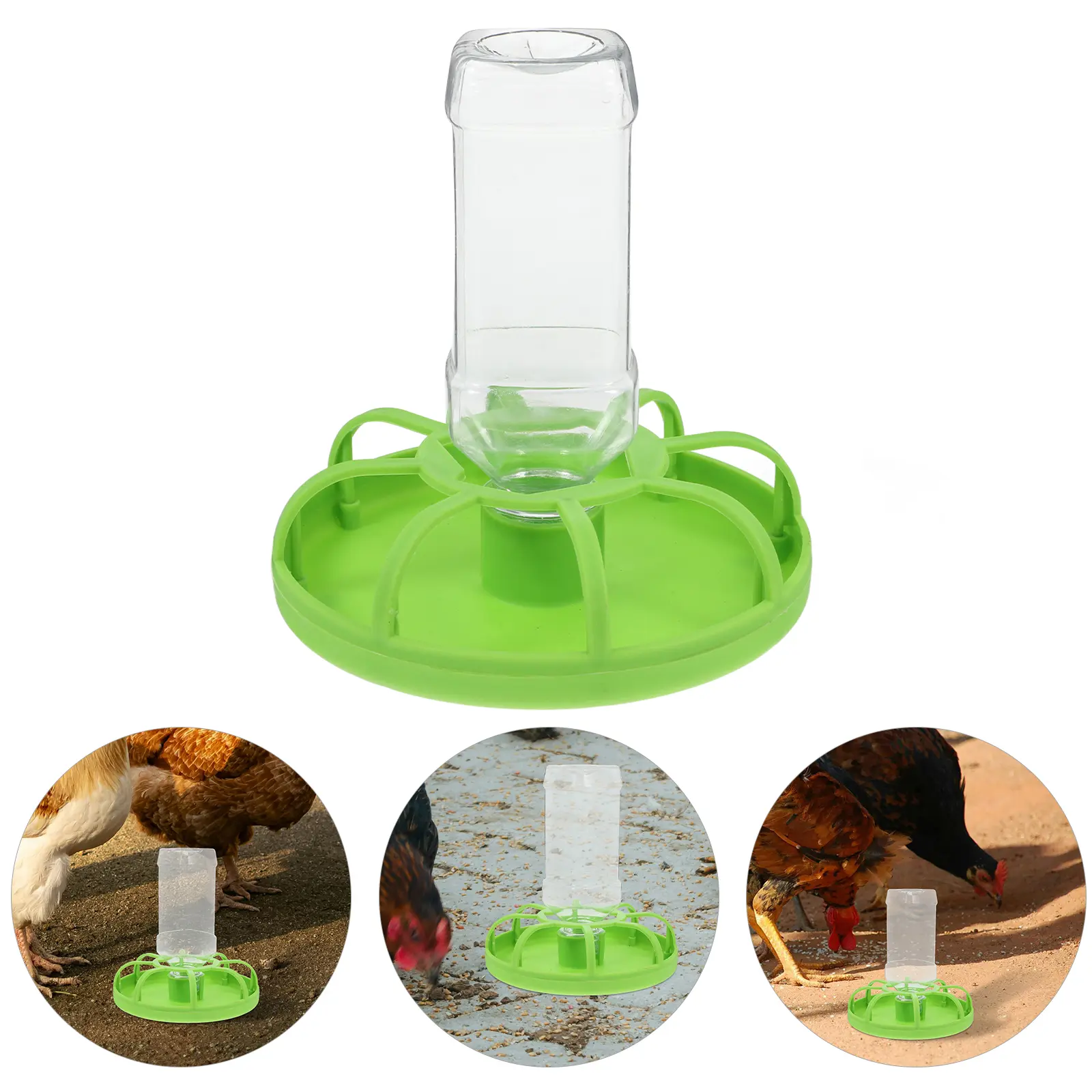 Quail Chicken Duck Pigeon Feeder Large Capacity Reusable Plastic Food Container Easy Clean Feeding Bowl Water Dish Cups Pet
