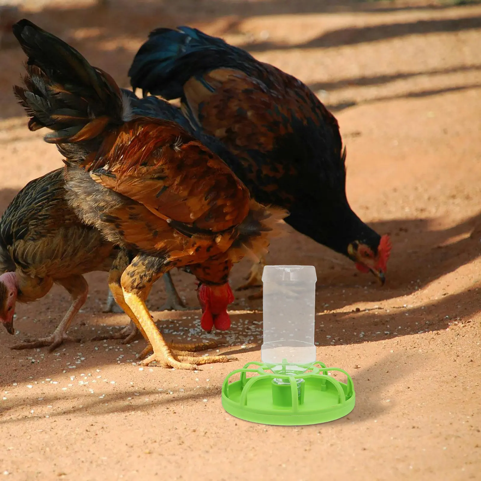 Quail Chicken Duck Pigeon Feeder Large Capacity Reusable Plastic Food Container Easy Clean Feeding Bowl Water Dish Cups Pet