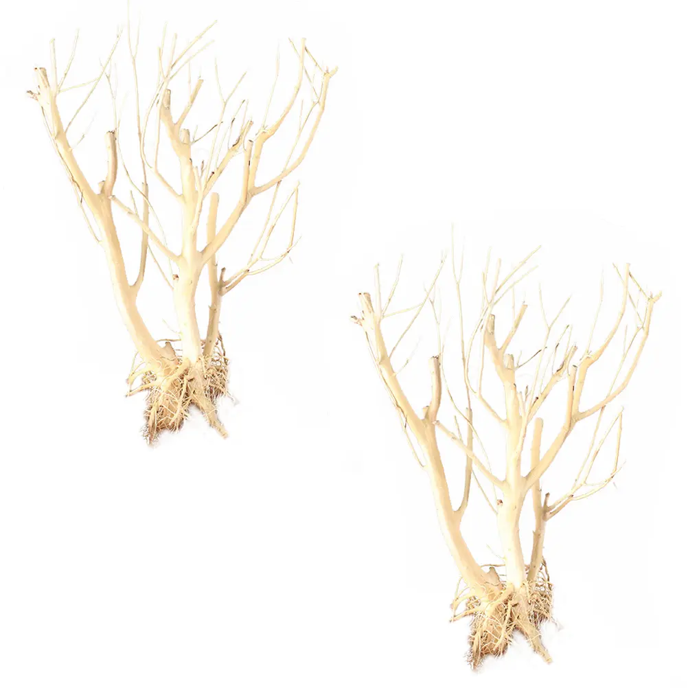 2pcs Moss Tree Decoration Aquarium Landscape Twig Stump Fish Tank Supplies Premium Ornament Non-Fading Hard Decorative for Pet