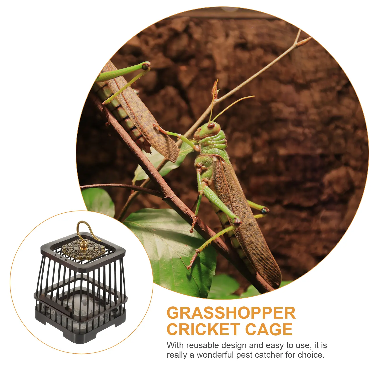 Cage Wooden Insect Cage Durable Storage Container Mini Cricket Box Reusable Holder Pest Catcher Toy