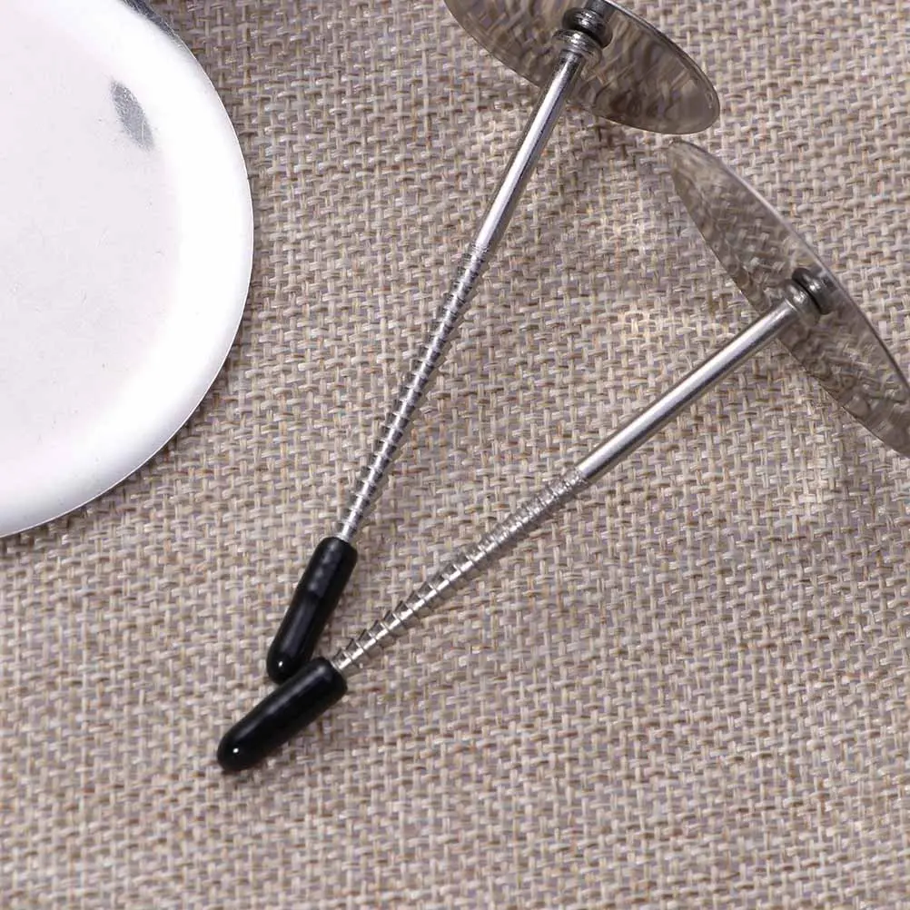 4 Pcs Pipe Set Cake Flower Decorating Kit Nail Large Design Tools Lifters Needle Baking