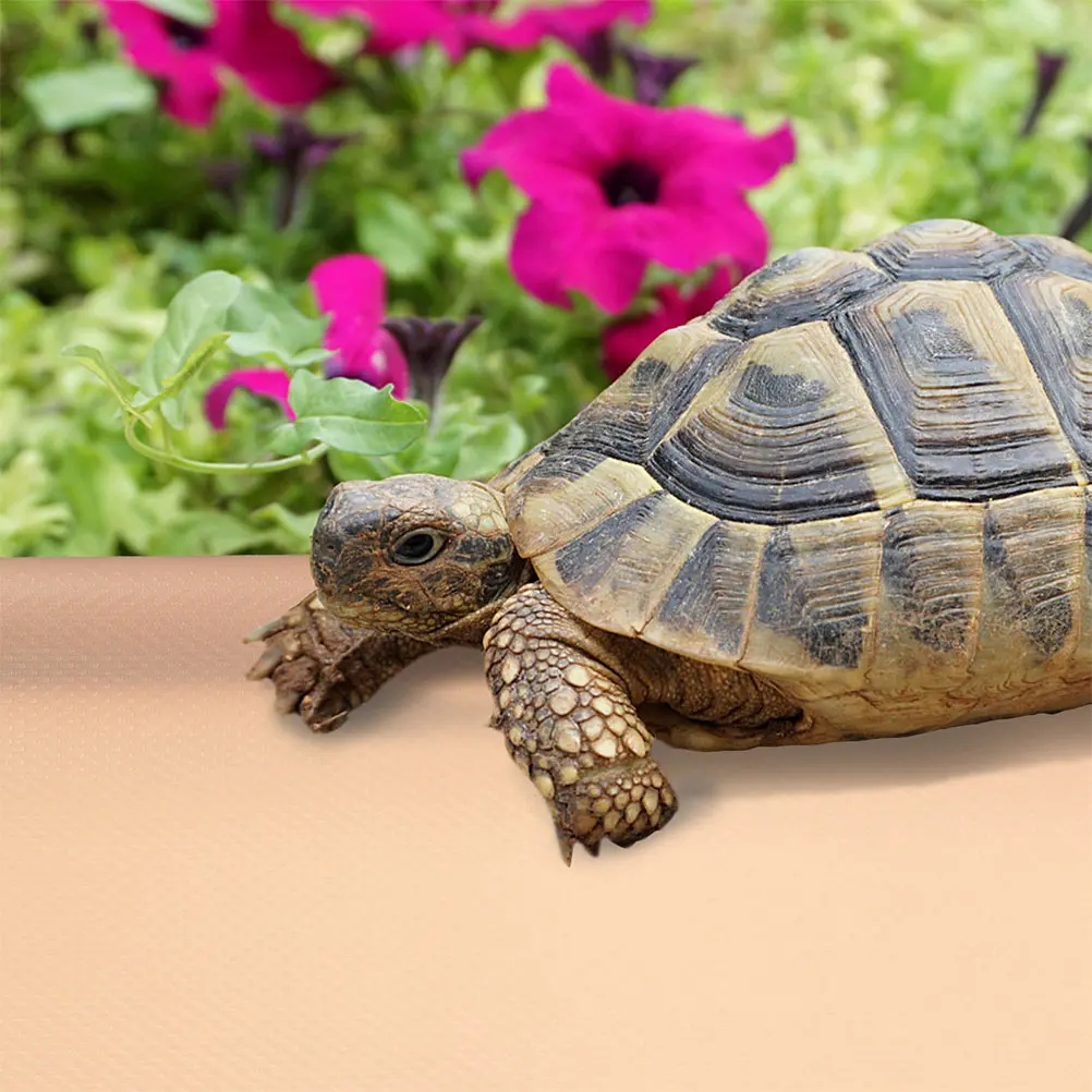 Terrarium Crawling Blanket Carpet Bearded Dragon Mat Eva Turtle House Reptile Liner