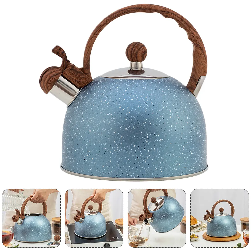 Kettle Stainless Steel Blue Stove Top Water Kettle Large Caliber Spout Food Grade Material Induction