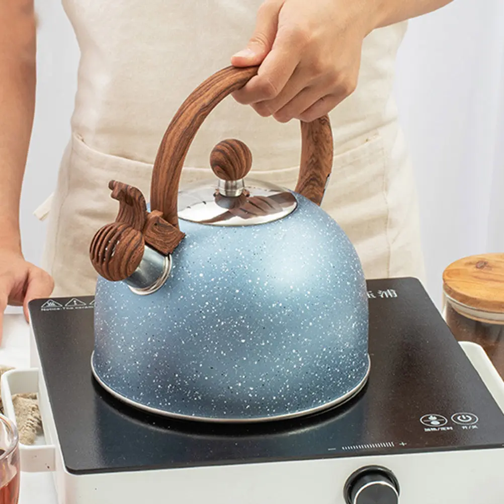 Kettle Stainless Steel Blue Stove Top Water Kettle Large Caliber Spout Food Grade Material Induction