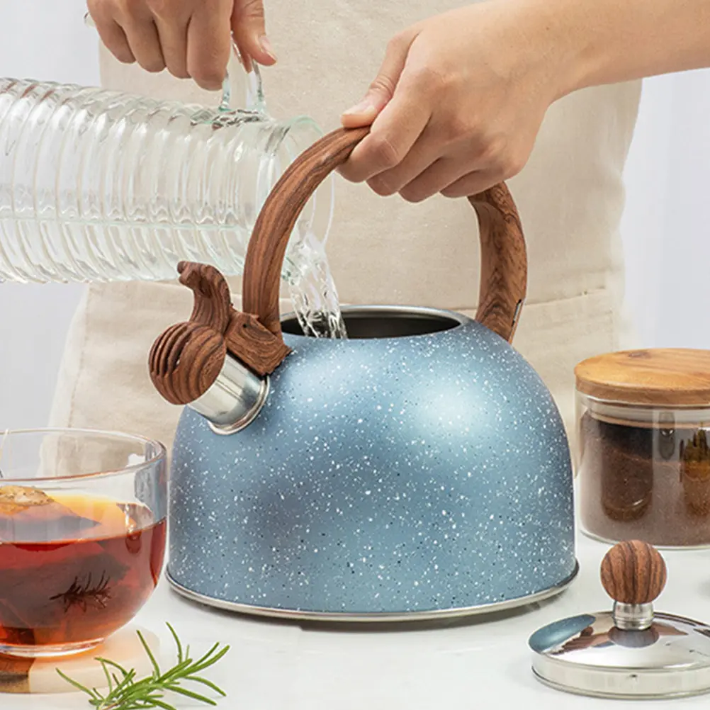 Kettle Stainless Steel Blue Stove Top Water Kettle Large Caliber Spout Food Grade Material Induction