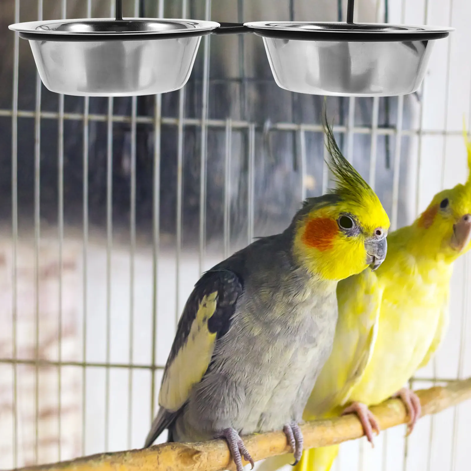 Stainless Steel Bird Bowl Feeder Large Capacity for Parrot Cage Easy Clean Hanging Design Water Cup Food Holder