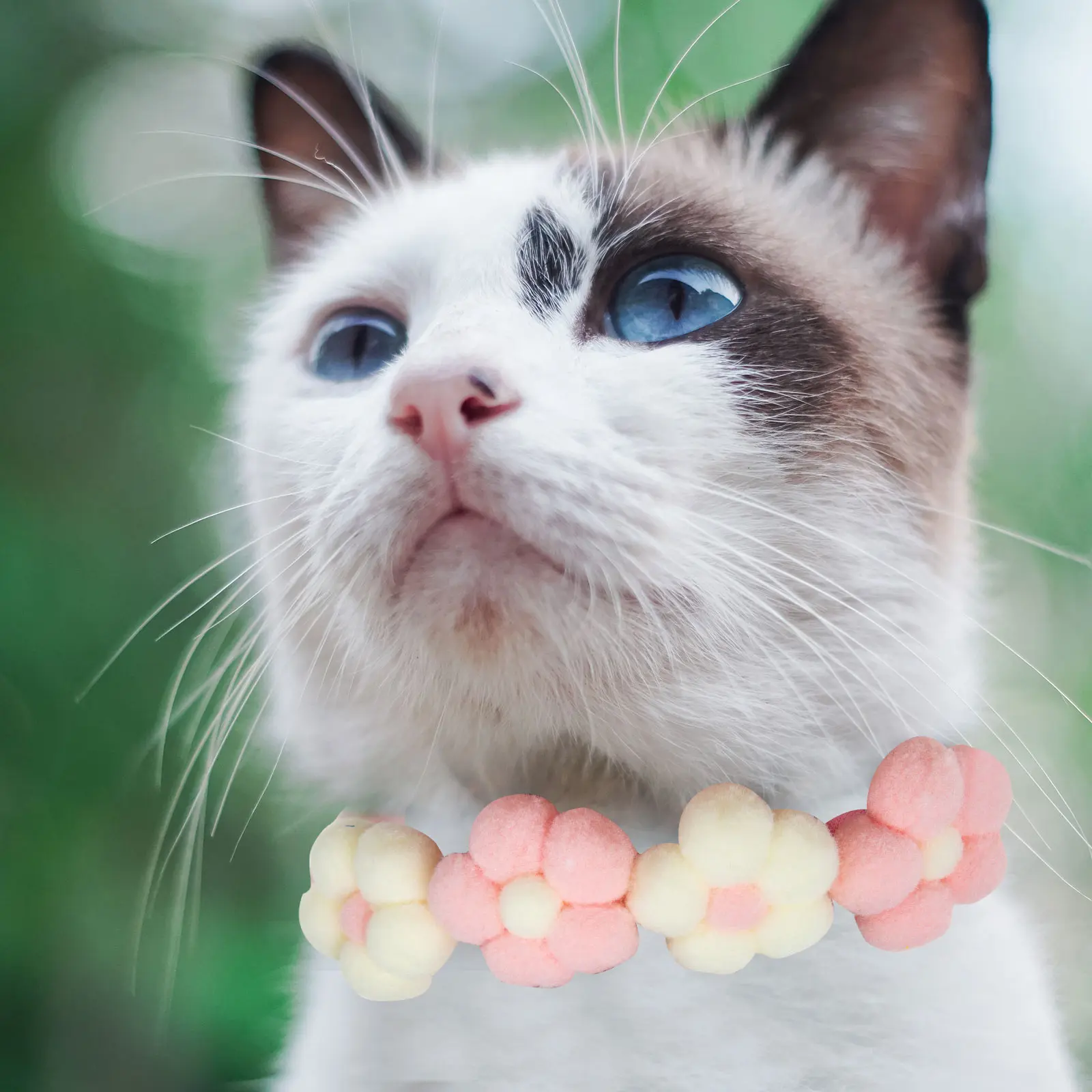 Pet Collar Floral Dog Cat Accessories Pink Petal Puppy ID Adjustable Neck Chain Photo Prop Pet Festival Durable Safe Long Use