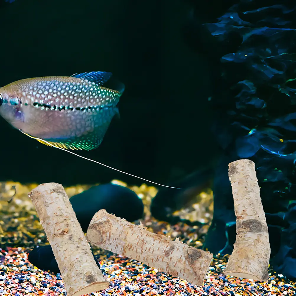 Diy Decorative Natural Aquarium Driftwood Craft Decorations Props Fish Tank Ornament Natural Aquarium Decor Landscape Decors