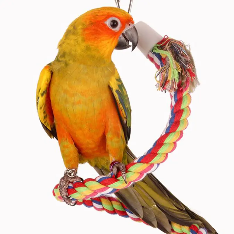 Parrot Hanging Nibble Toy Parrot Colored Cotton Rope Rotating Ladder Bird Cage Small Parrot Toy Pet Training Accessories