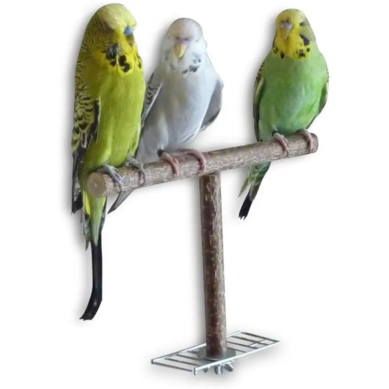 1PC Natural Wooden Parrots Swing Toy Birds Colorful Beads Bird Supplies Bells Toys Perch Hanging Swings Cage for Pets