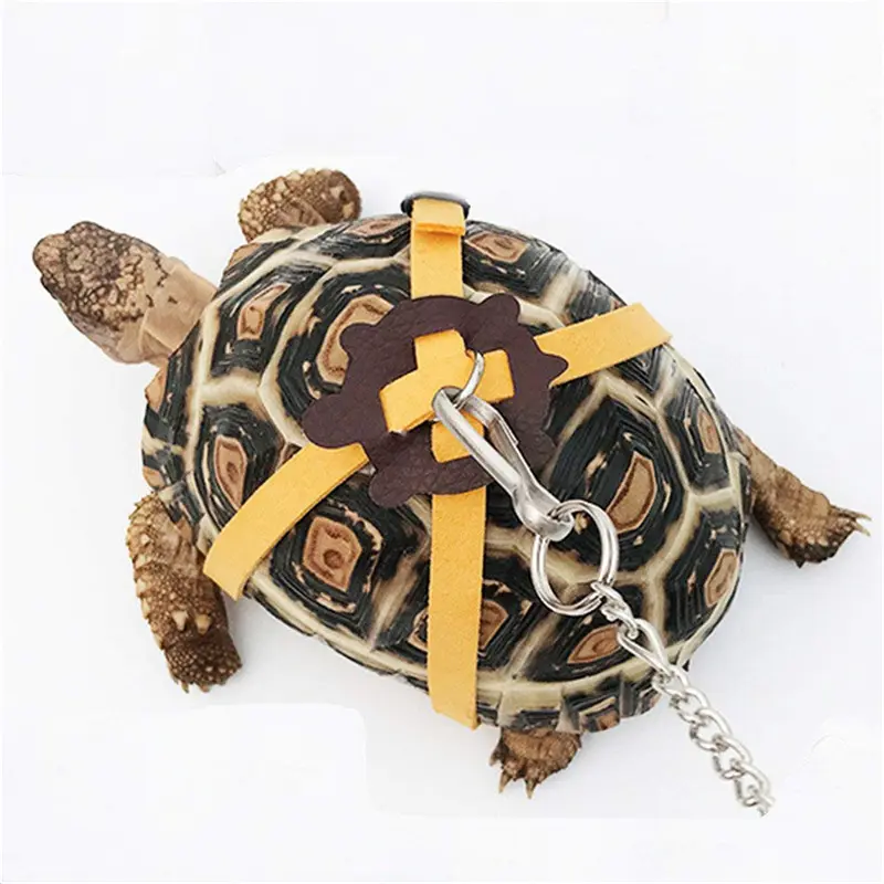 Turtle Leash Pet Turtle Leash Wear Resistant Adjustable Outdoor Training Leash Turtle Leash Pet Turtle Products