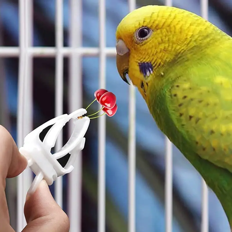 6pcs Birds Food Holder Pet Parrot Feeding Fruit Vegtable Clip Cuttlefish Bone Feeder Device Pin Clamp Bird Cage Accessories
