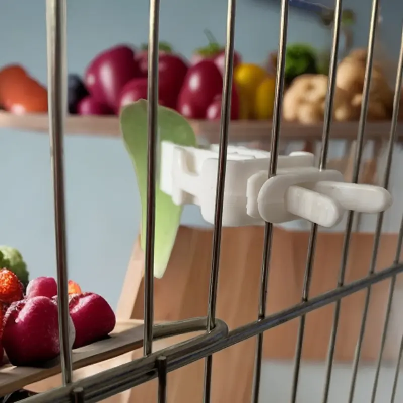 6pcs Birds Food Holder Pet Parrot Feeding Fruit Vegtable Clip Cuttlefish Bone Feeder Device Pin Clamp Bird Cage Accessories