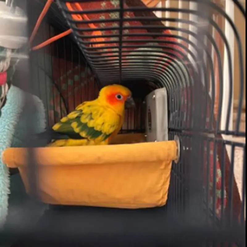 Pet Bird Nest House Winter Warm Parrot House Bed Hammock Hanging Tent Toy Parrots Bird Cage Stand For Bird Sleeping Cage Tent