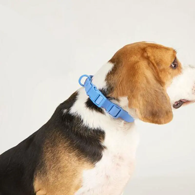 Elastic Webbing Pet Collar Pet Identification Adjustable Waterproof Dog Collar No Pull Quick Release Buckle Safety Buckle Chain