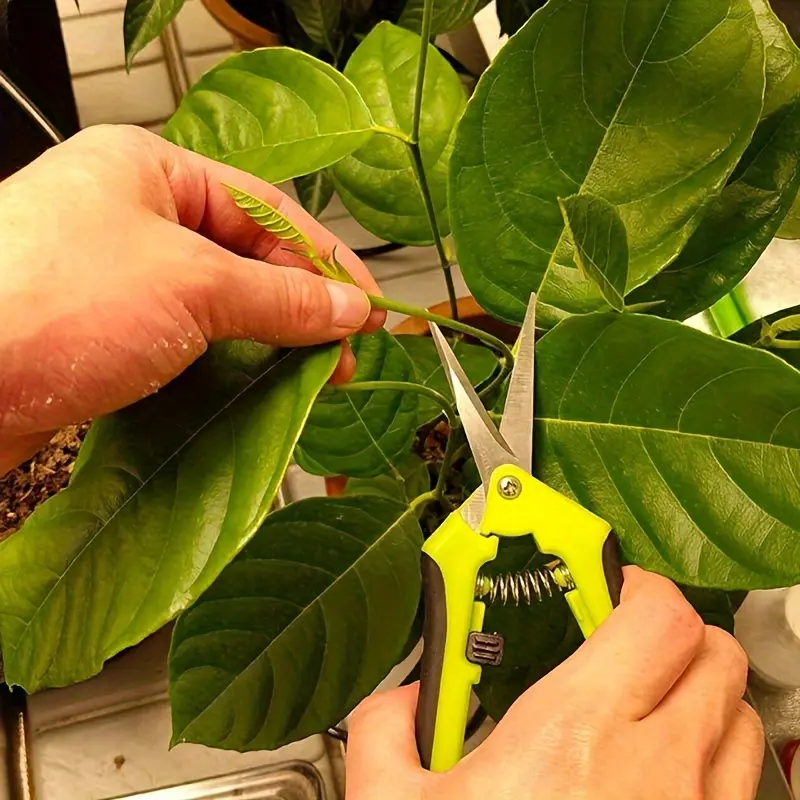 1 Set, Garden Scissors, Garden Pruning Shears, Non-slip Labor-saving Flower Branch Branch Shears, Fruit And Vegetable Shears, Fr