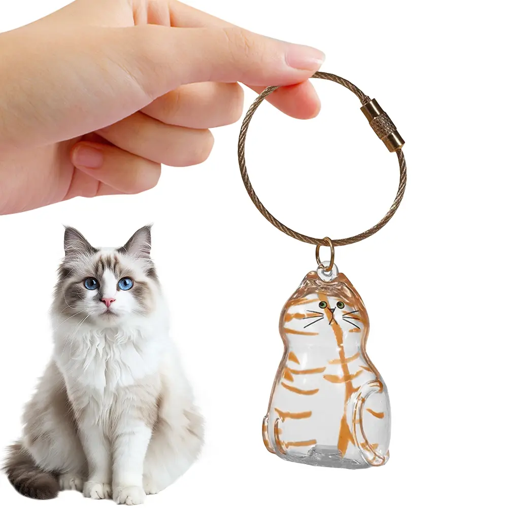 Pet Hair Keepsake Box Transparent Cat Fur Storage Container for DIY Memorial Decoration Gift for Pet Lovers Home Display Souveni