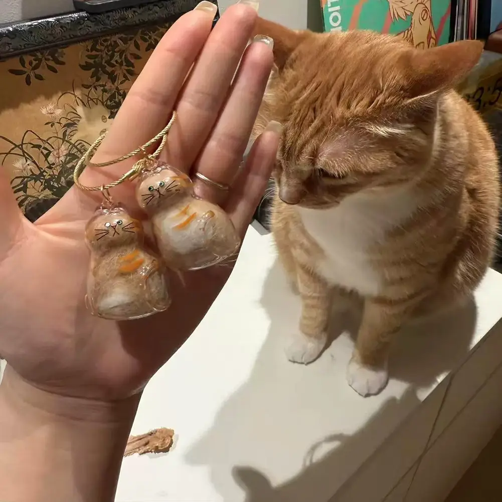 Pet Hair Keepsake Box Transparent Cat Fur Storage Container for DIY Memorial Decoration Gift for Pet Lovers Home Display Souveni