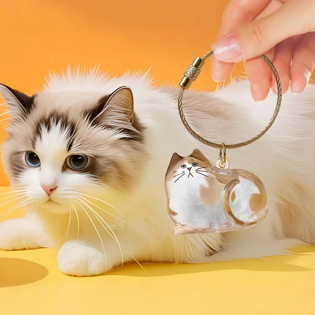 Cat Hair Storage Bottle Pet Fur Keepsake Keychain for Collecting Cat Dog Hair Transparent Bottle for Pet Gifts Transparent Hair