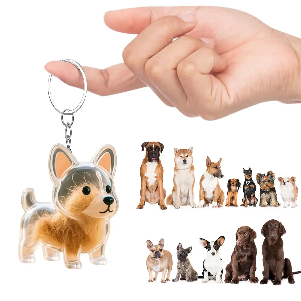 Pet Hair Storage Box Keychain Transparent Keepsake Container for Dog Fur DIY Decoration Keyring Jewelry Souvenir Collection Gift