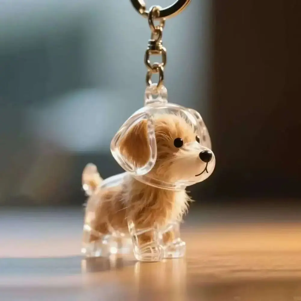 Pet Hair Storage Box Keychain Transparent Keepsake Container for Dog Fur DIY Decoration Keyring Jewelry Souvenir Collection Gift