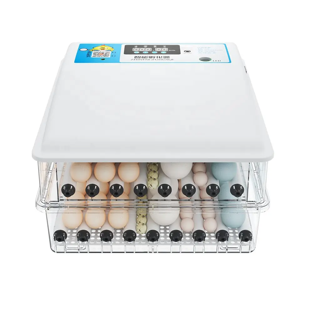 110V 220V Dual Power 12V Fully Automatic Chicken Egg Incubator