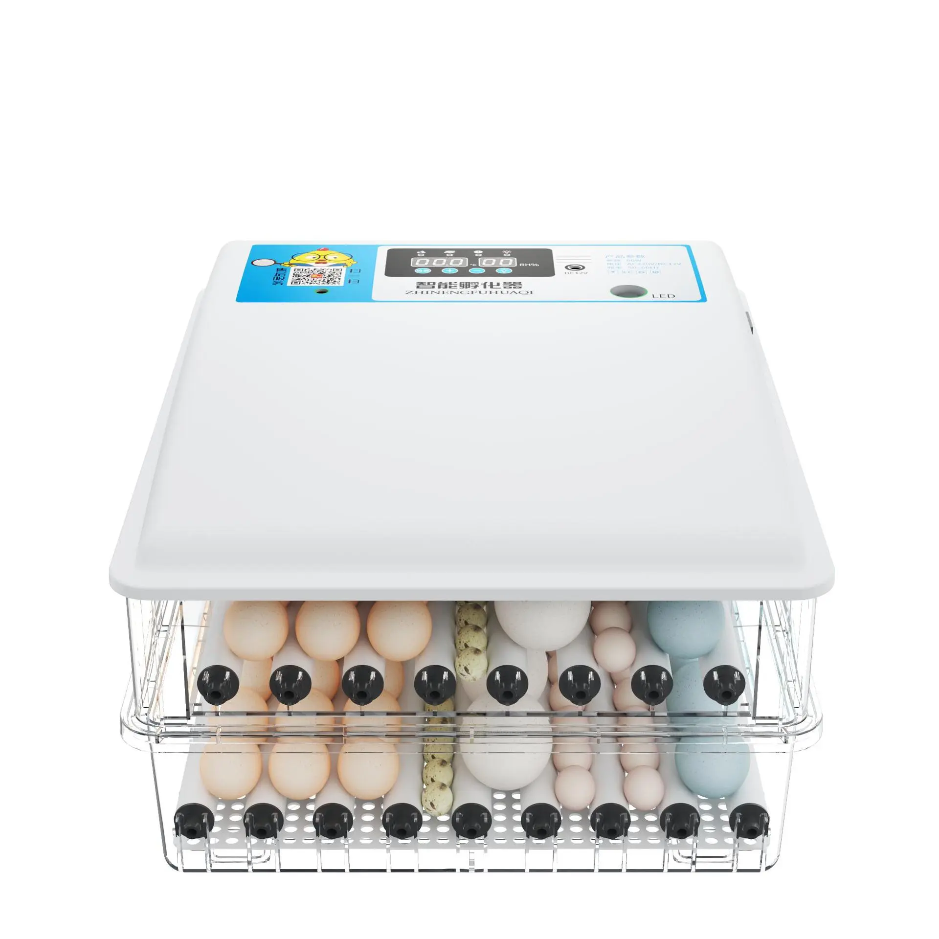 110V 220V Dual Power 12V Fully Automatic Chicken Egg Incubator